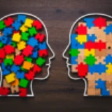 Conversations on Randomness of Software