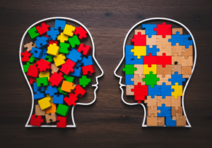 Illustration of two human heads formed from puzzle pieces, representing complex software behavior, determinism, and perceived randomness in software systems.